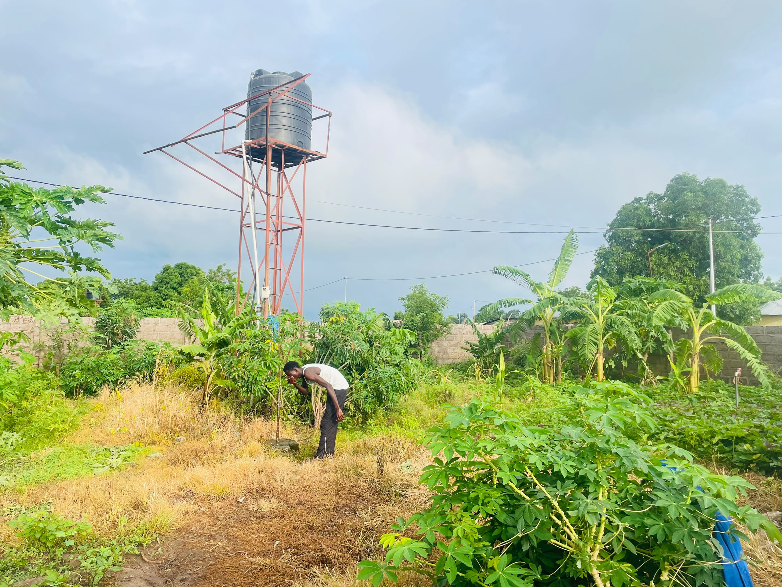 A farmer tending a green, cultivated plot beside an elevated solar-powered water tank in Maka Masireh Village, The Gambia