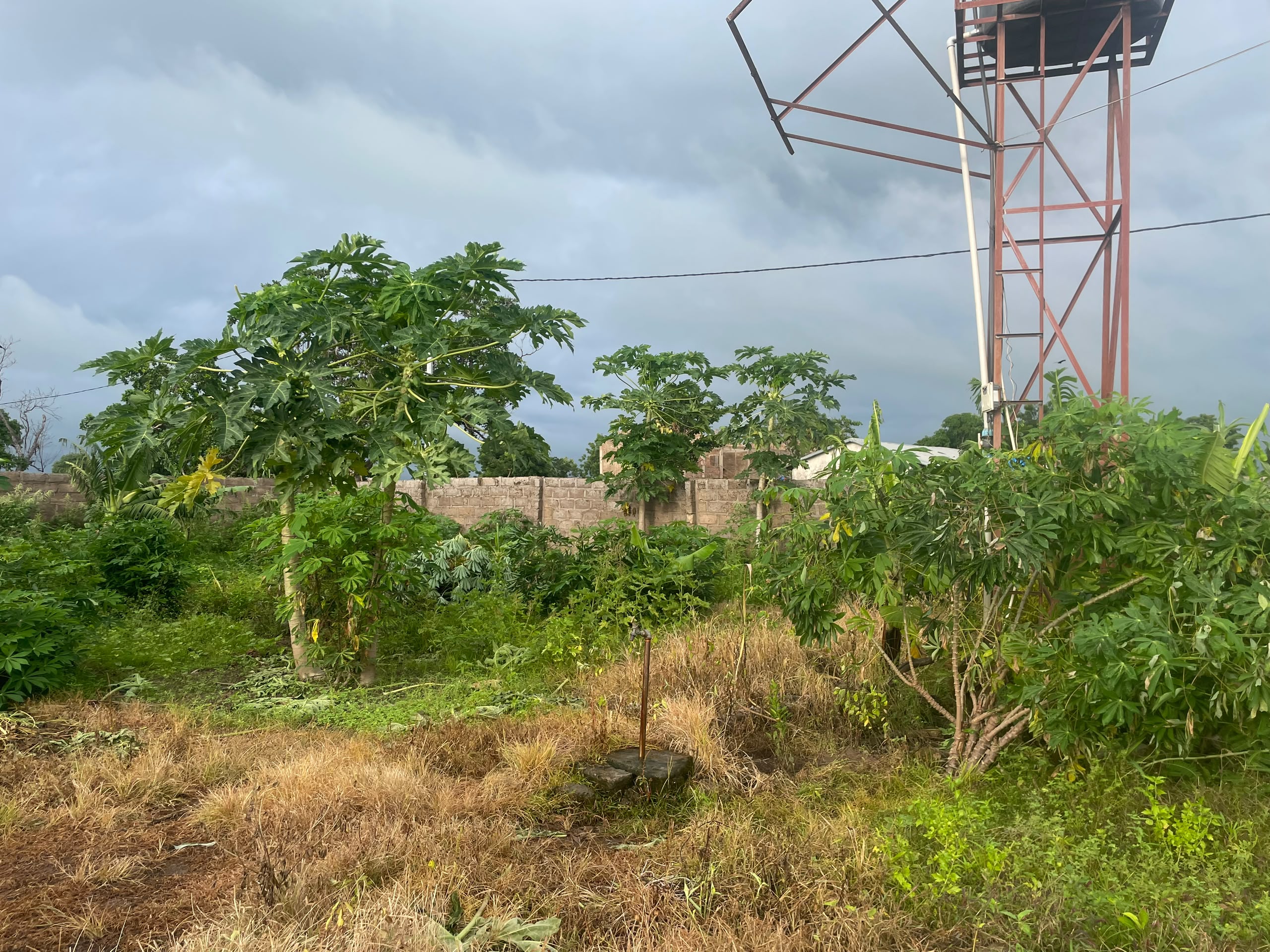 Solar-powered water tower and standpipe in a cultivated plot in The Gambia